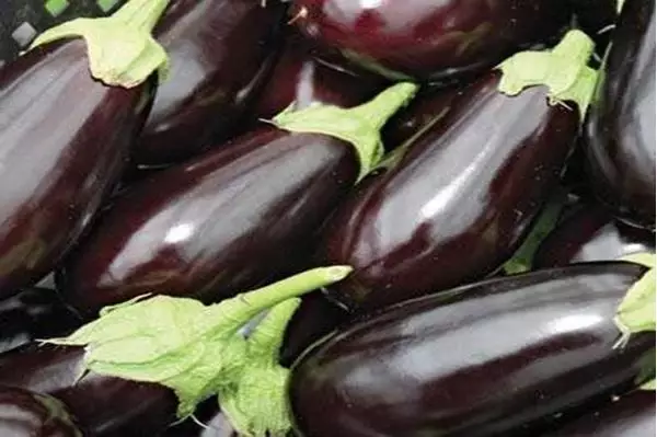Imagem de Berinjela 100ml (Solanum melogena)
