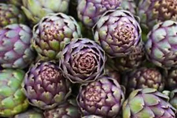 Imagem de Alcachofra 100ml (Cynara scolymus L)