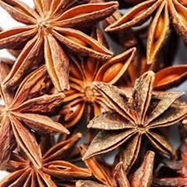 Imagem de Anis estrelado 100ml (Illicum verum Hooker)