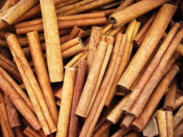 Imagem de Canela 100ml (Cinnamomum ssp.)