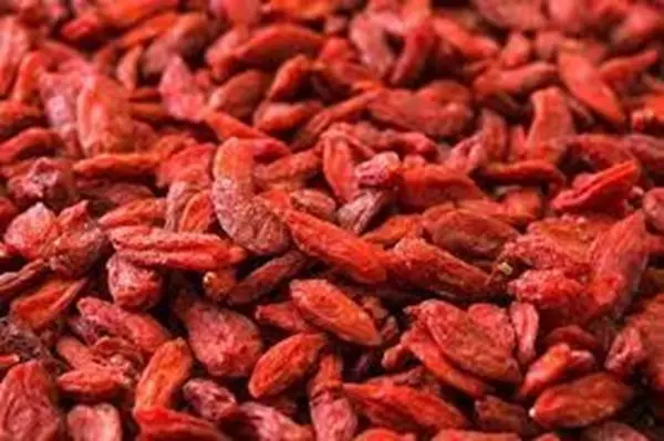 Mostrar detalhes para Goji Berry 100ml (Lycium barbarum) Imagem de Goji Berry 100ml (Lycium barbarum)
