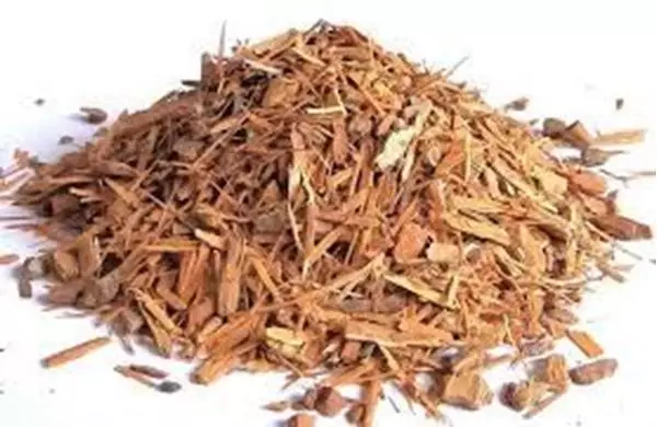 Mostrar detalhes para Catuaba 100ml (Trichilia catigua.) Imagem de Catuaba 100ml (Trichilia catigua.)