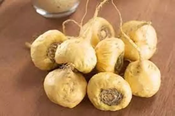Imagem de Maca Peruana (Lepidium meyenii)