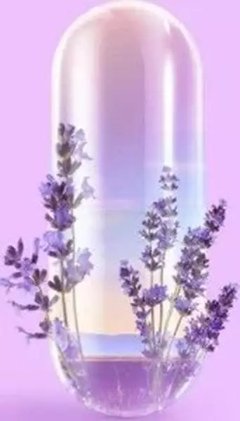 Imagem de Lavanda Plus - 30 Caps